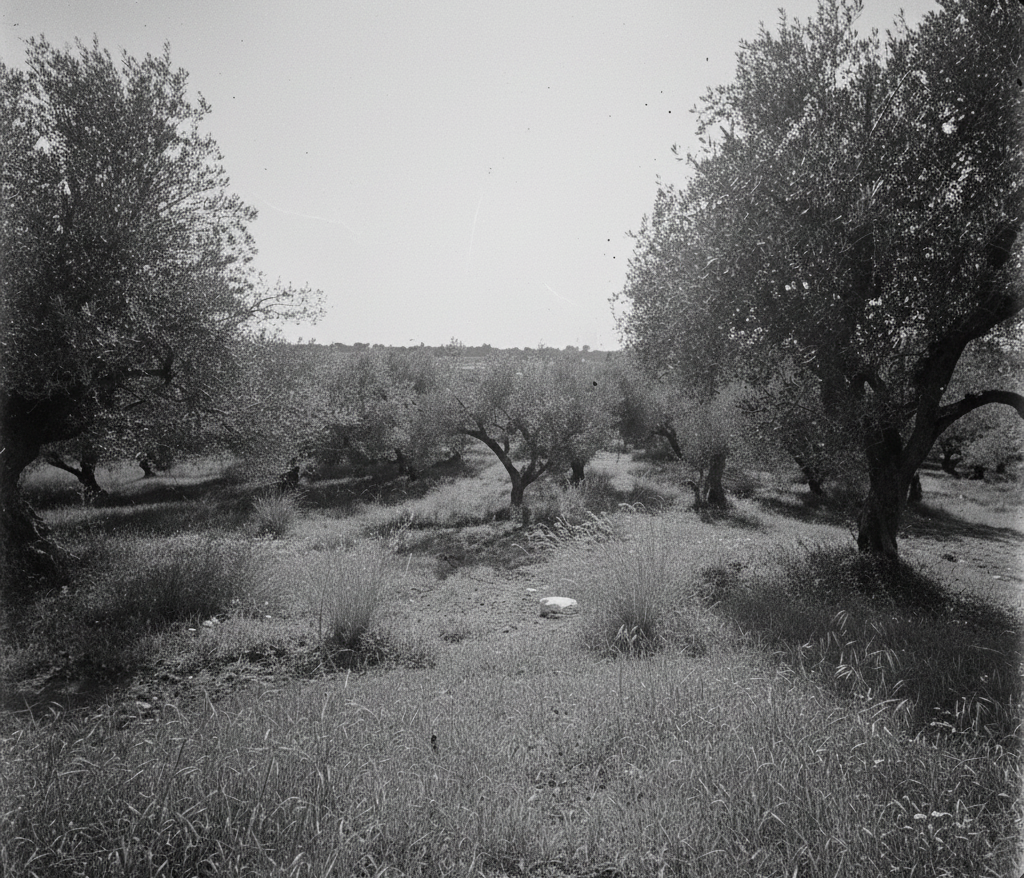 Farmland of Koukios Farms